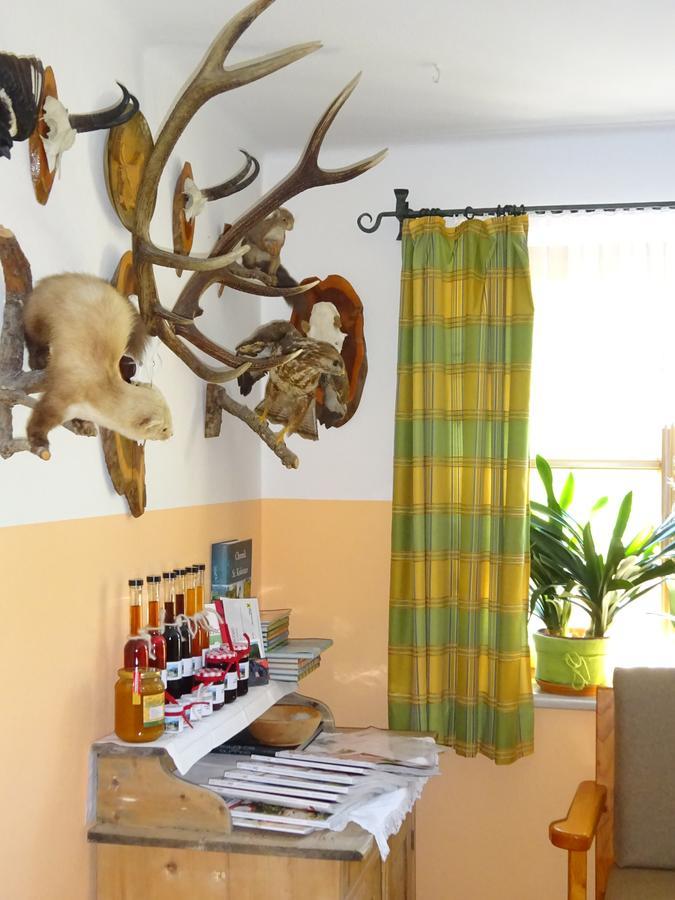 Ferienwohnung Haus Lehen Sankt Koloman Ngoại thất bức ảnh